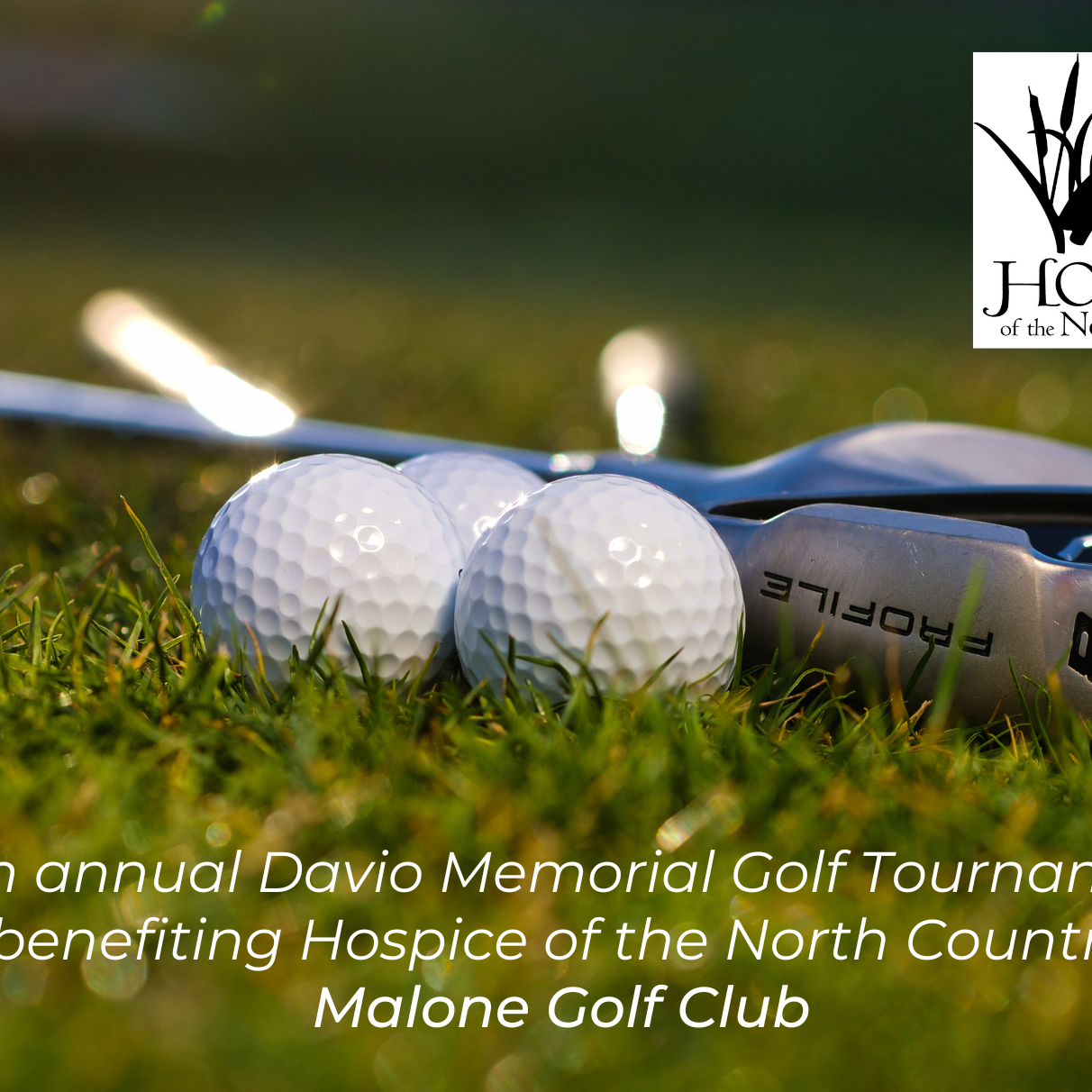 Davio Memorial Golf Tournament (Hospice of the North Country) - logo